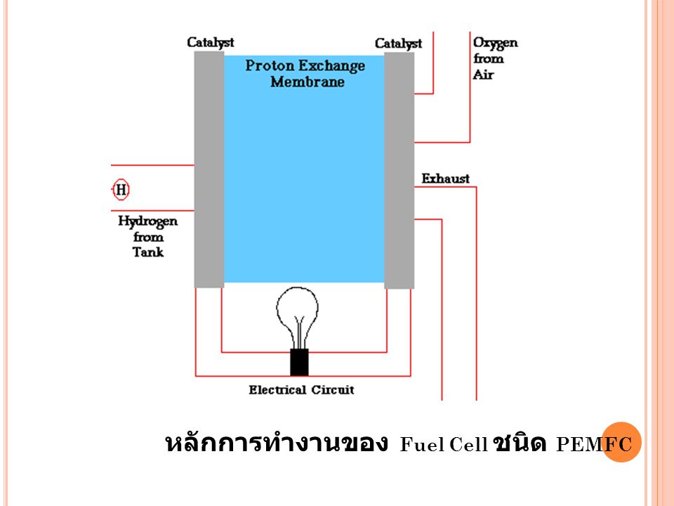 หลักการทำงานของ Fuel Cell ชนิด PEMFC