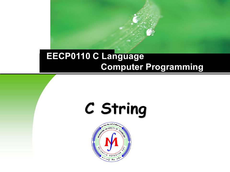 EECP0110 C Language Computer Programming