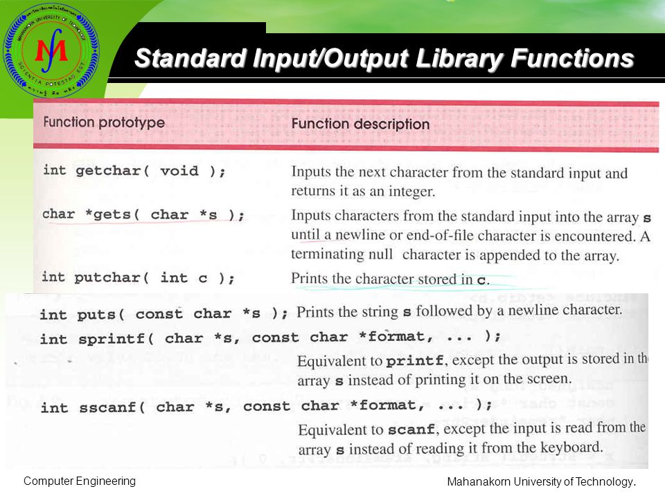 Standard Input/Output Library Functions