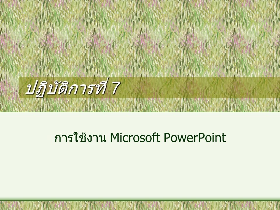 การใช้งาน Microsoft PowerPoint