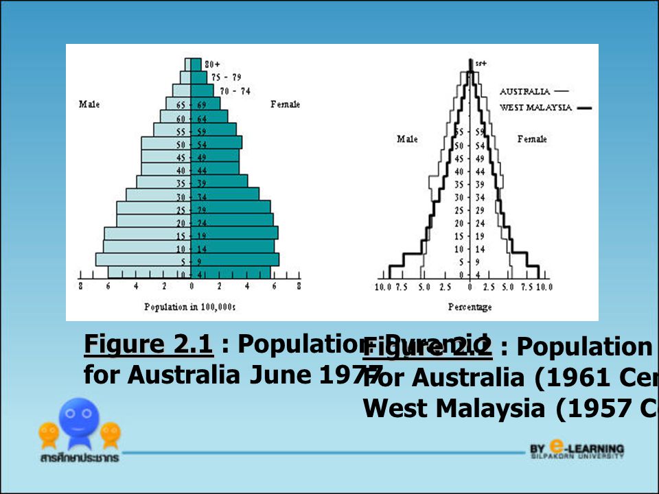 Figure 2.1 : Population Pyramid