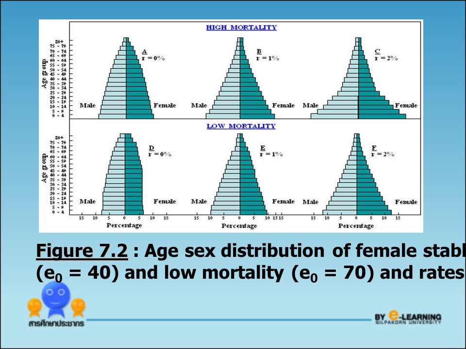 Figure 7.2 : Age sex distribution of female stable populations with high mortality