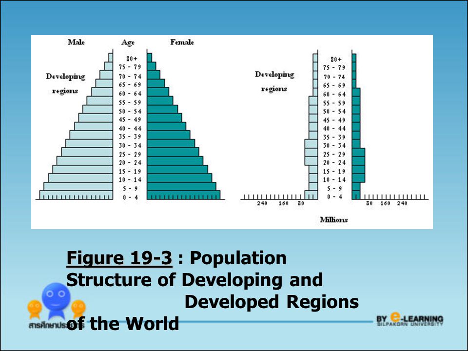 Figure 19-3 : Population Structure of Developing and