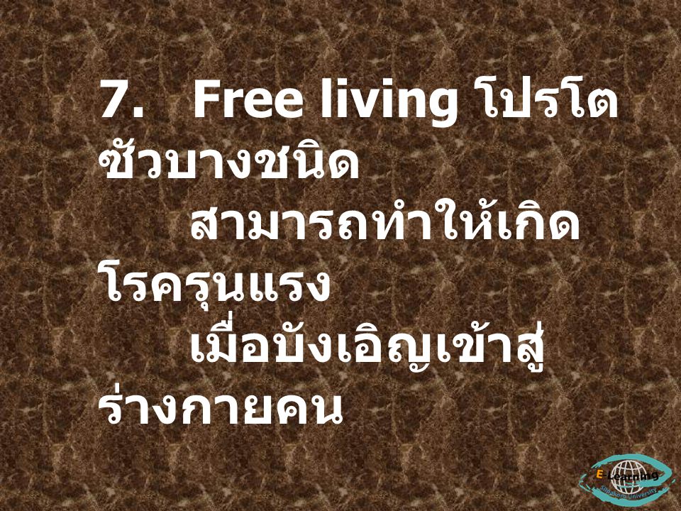 7. Free living โปรโตซัวบางชนิด