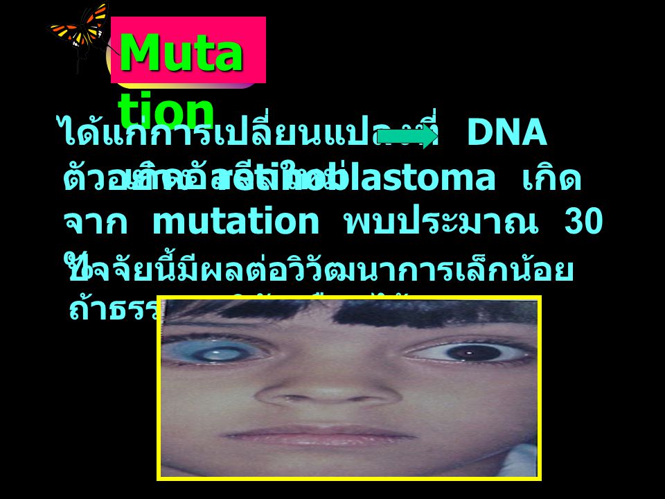 Mutation ได้แก่การเปลี่ยนแปลงที่ DNA เกิดอัลลีลใหม่