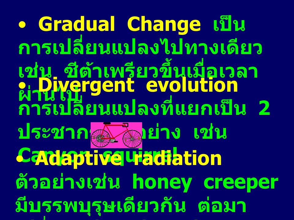 Gradual Change เป็นการเปลี่ยนแปลงไปทางเดียวเช่น ซีต้าเพรียวขึ้นเมื่อเวลาผ่านไป