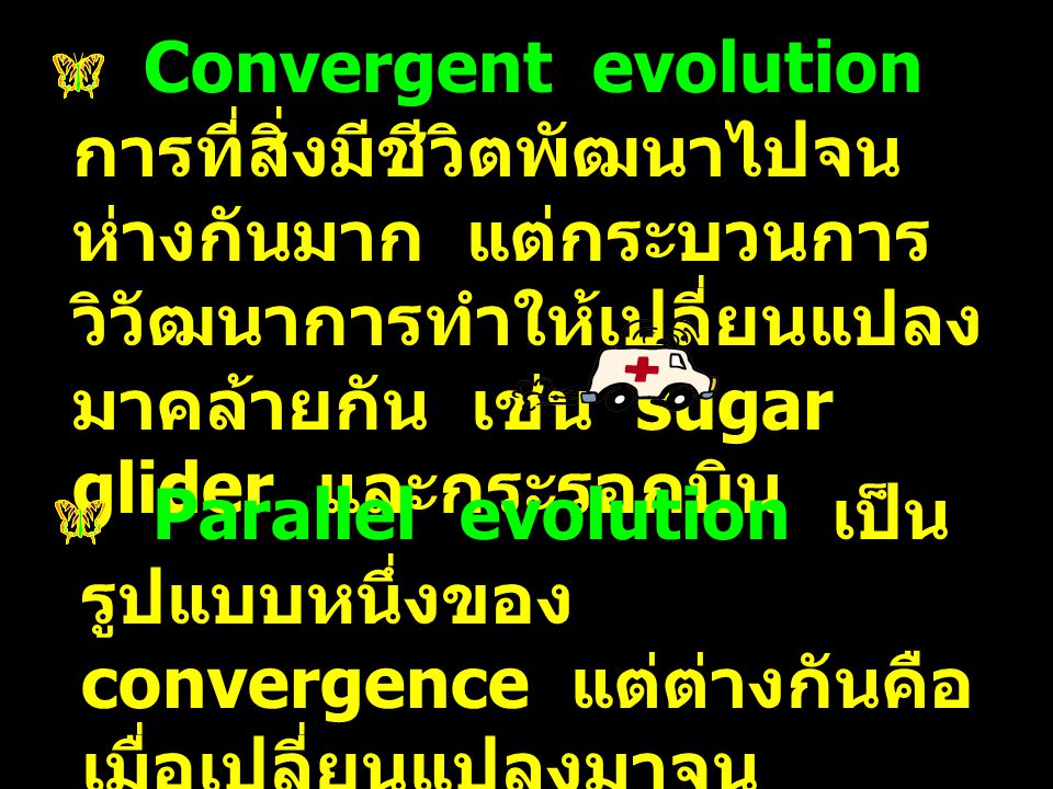 Convergent evolution การที่สิ่งมีชีวิตพัฒนาไปจนห่างกันมาก แต่กระบวนการวิวัฒนาการทำให้เปลี่ยนแปลงมาคล้ายกัน เช่น sugar glider และกระรอกบิน