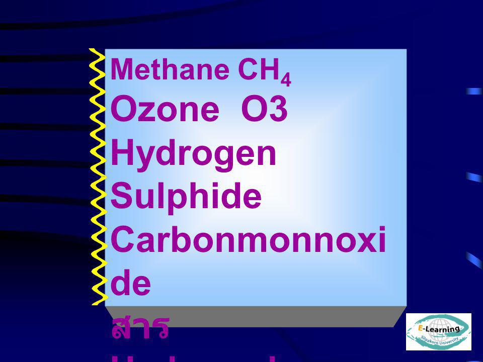 Ozone O3 Hydrogen Sulphide Carbonmonnoxide สาร Hydrocarbon HC