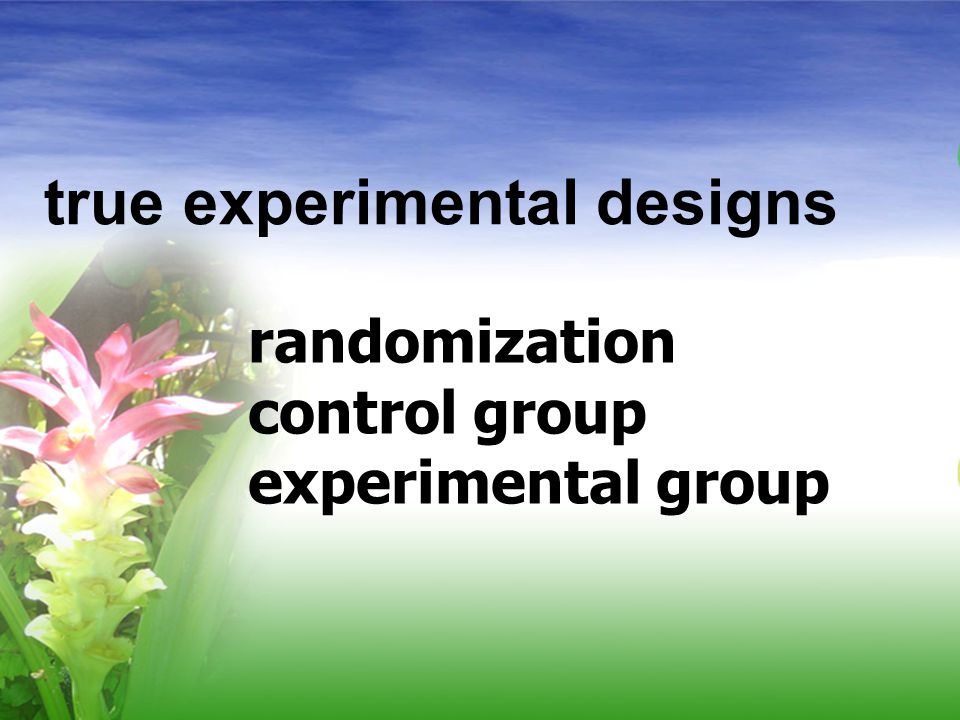 true experimental designs