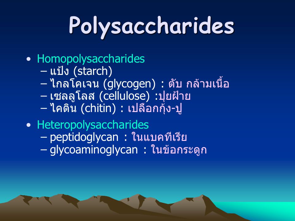 Polysaccharides Homopolysaccharides แป้ง (starch)