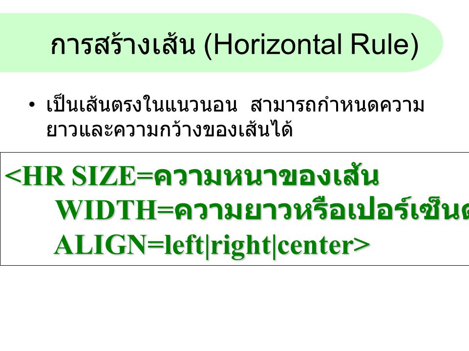 การสร้างเส้น (Horizontal Rule)