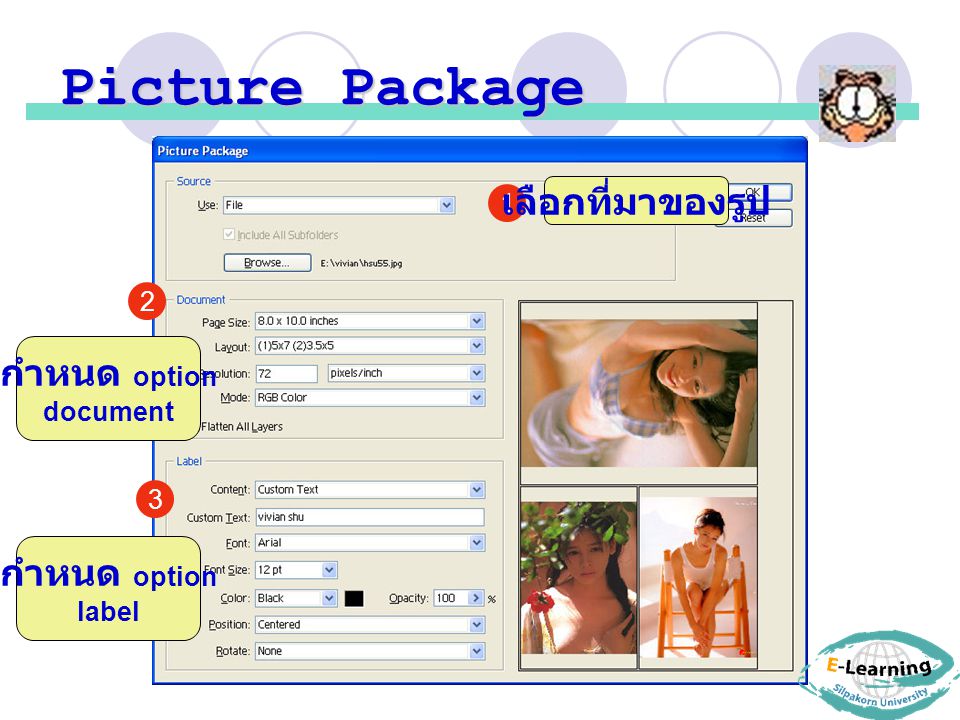 Picture Package เลือกที่มาของรูป กำหนด option กำหนด option 1 2