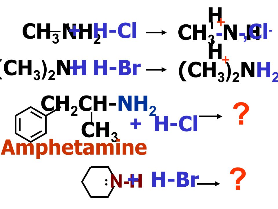 CH3-N-H H NH2 CH3 + H-Cl ,Cl- (CH3)2NH2 ,Br- (CH3)2NH + H-Br