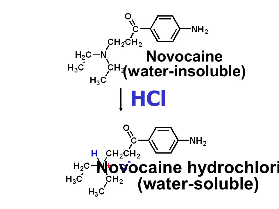 Novocaine hydrochloride