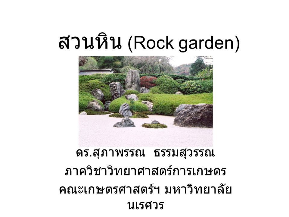 สวนหิน (Rock garden) ดร.สุภาพรรณ ธรรมสุวรรณ ภาควิชาวิทยาศาสตร์การเกษตร