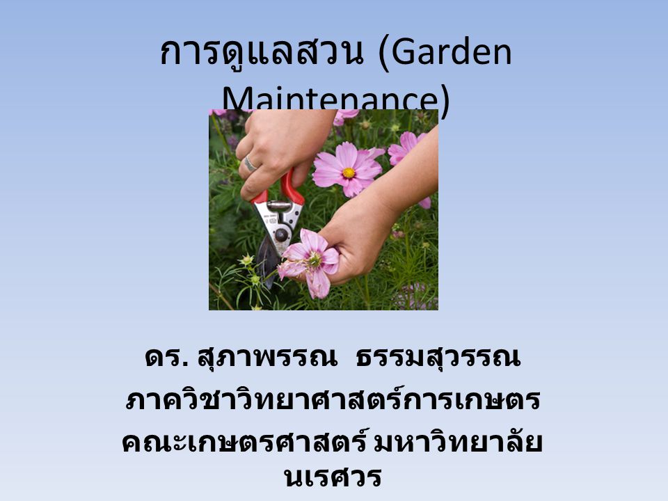 การดูแลสวน (Garden Maintenance)