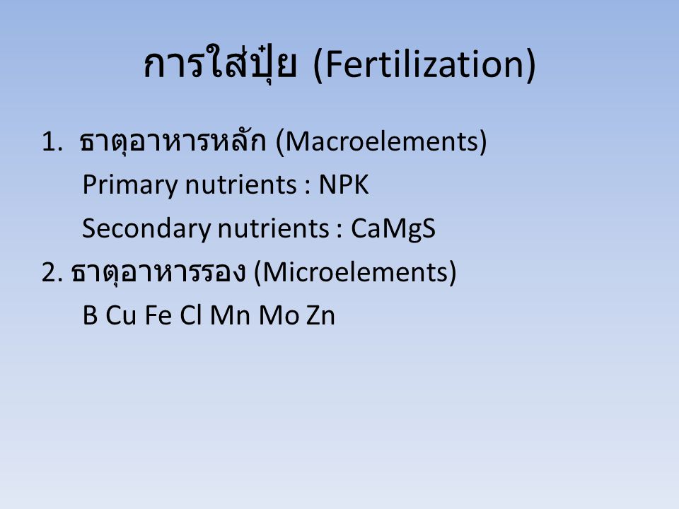 การใส่ปุ๋ย (Fertilization)