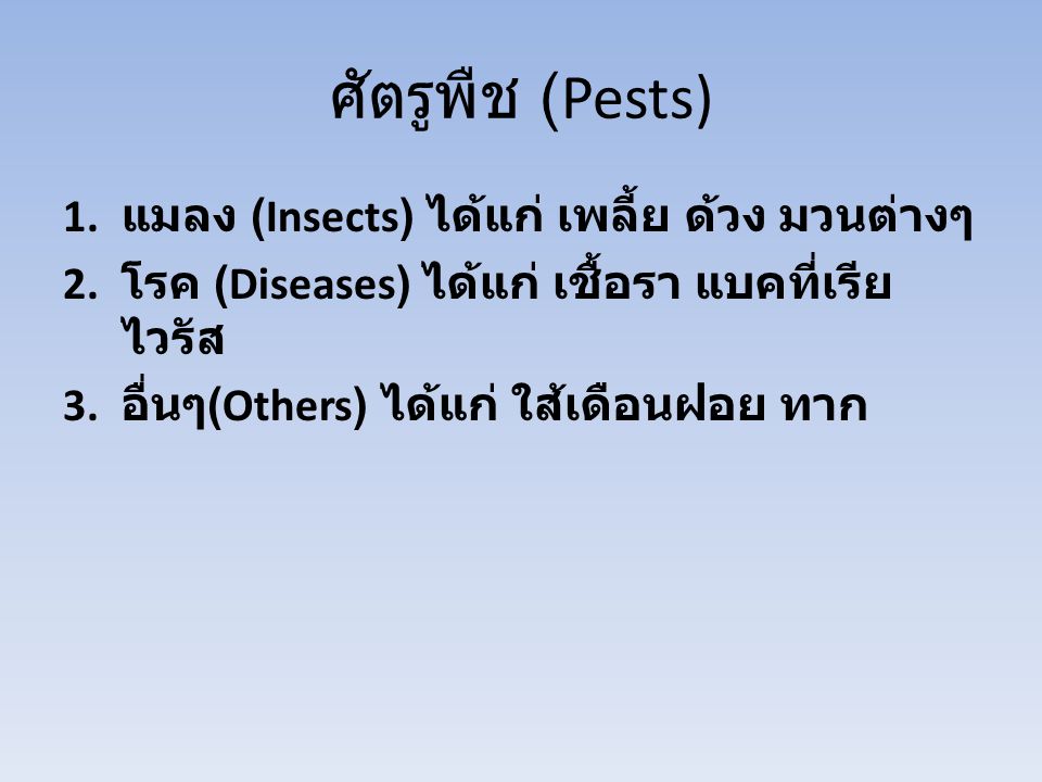 ศัตรูพืช (Pests) แมลง (Insects) ได้แก่ เพลี้ย ด้วง มวนต่างๆ