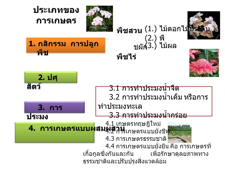 ประเภทของการเกษตร (1.) ไม้ดอกไม้ประดับ พืชสวน (2.) พืชผัก