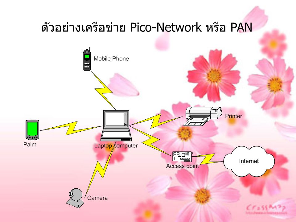 ตัวอย่างเครือข่าย Pico-Network หรือ PAN