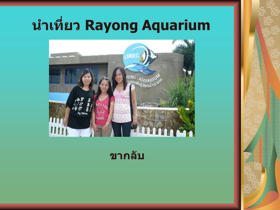 นำเที่ยว Rayong Aquarium