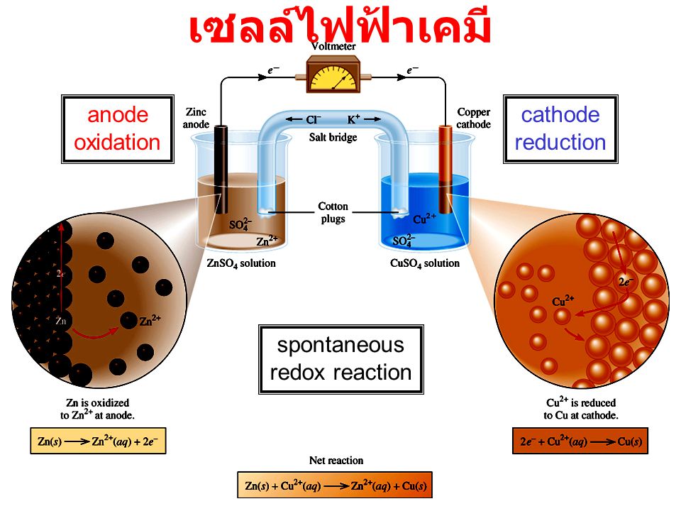 เซลล์ไฟฟ้าเคมี anode oxidation cathode reduction spontaneous