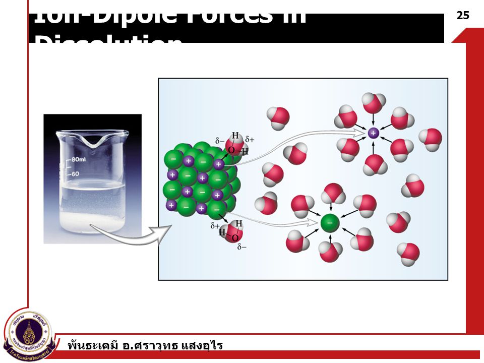 Ion-Dipole Forces in Dissolution