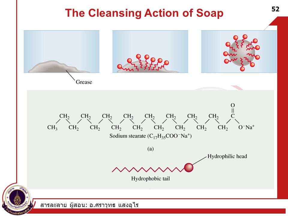 The Cleansing Action of Soap