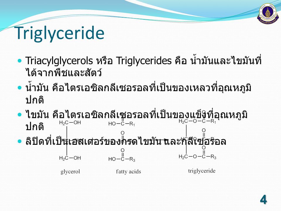 Triglyceride Triacylglycerols หรือ Triglycerides คือ น้ำมันและไขมันที่ได้จากพืชและสัตว์ น้ำมัน คือไตรเอซิลกลีเซอรอลที่เป็นของเหลวที่อุณหภูมิปกติ