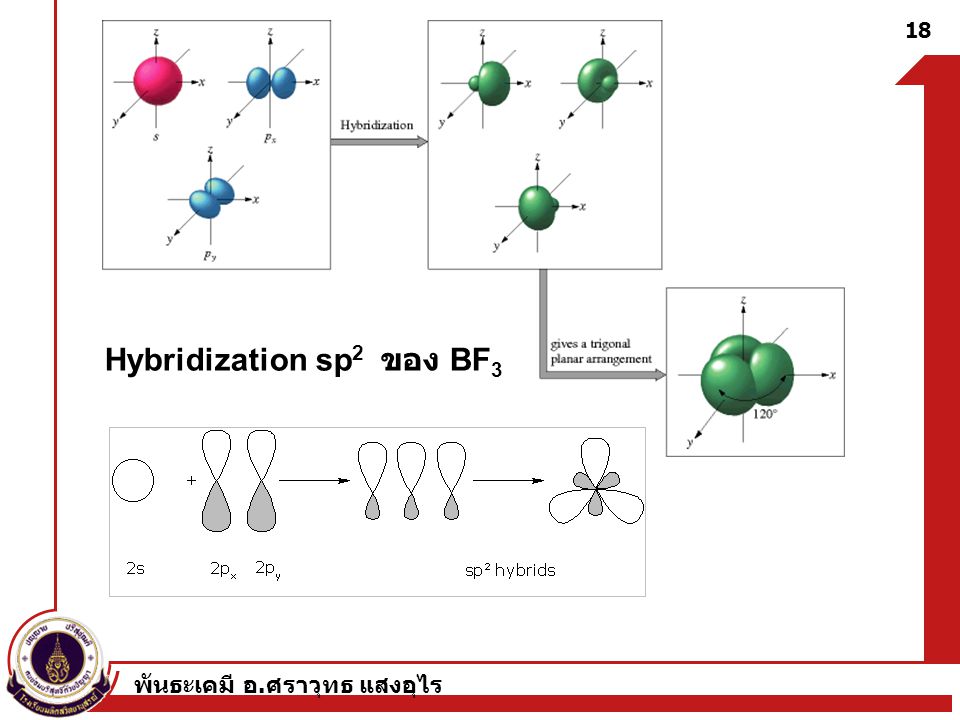 Hybridization sp2 ของ BF3