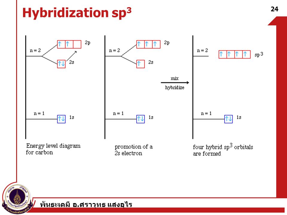 Hybridization sp3 พันธะเคมี อ.ศราวุทธ แสงอุไร