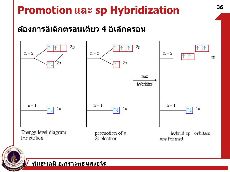 Promotion และ sp Hybridization