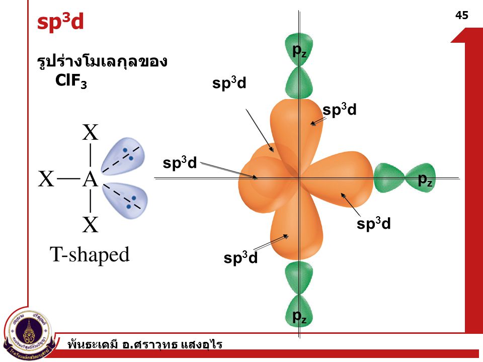 sp3d pz รูปร่างโมเลกุลของ ClF3 sp3d sp3d sp3d pz sp3d sp3d pz