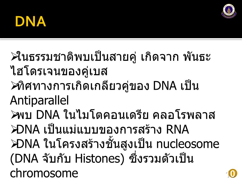 DNA ในธรรมชาติพบเป็นสายคู่ เกิดจาก พันธะไฮโดรเจนของคู่เบส