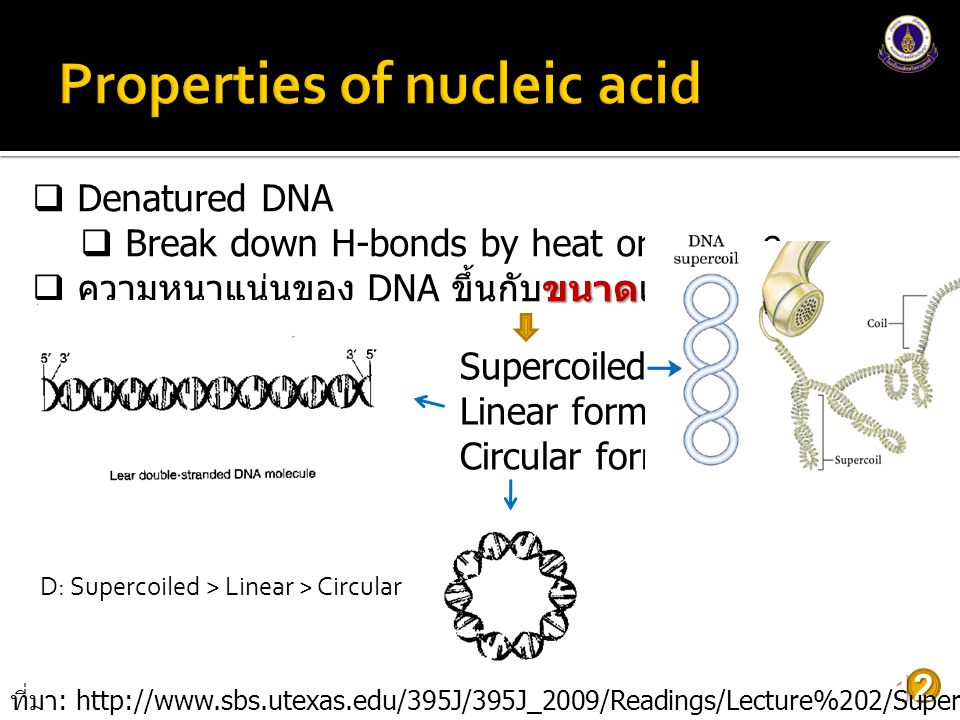 Properties of nucleic acid