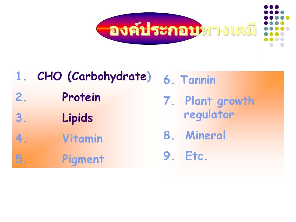 องค์ประกอบทางเคมี 1. CHO (Carbohydrate) 6. Tannin 2. Protein
