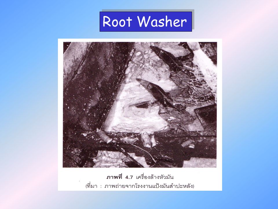 Root Washer