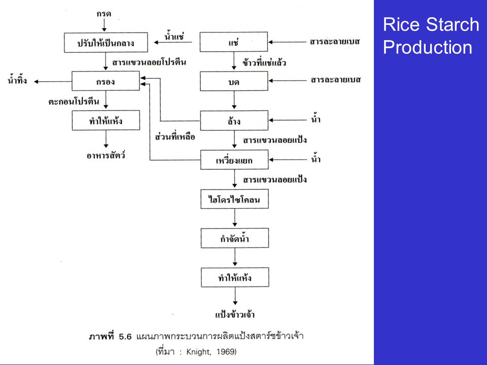 Rice Starch Production