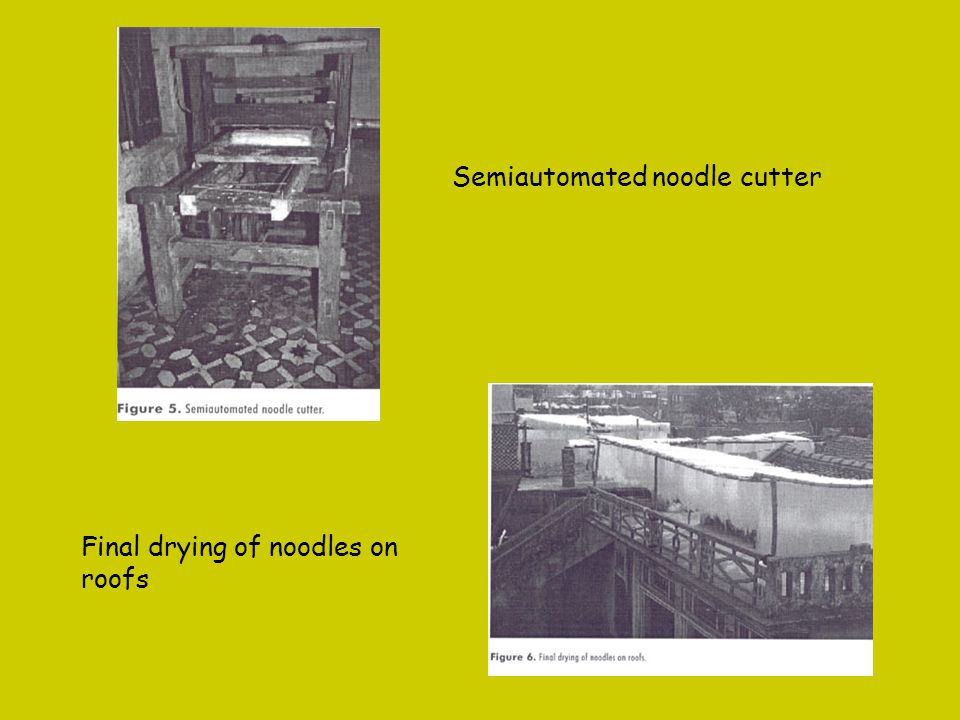 Semiautomated noodle cutter