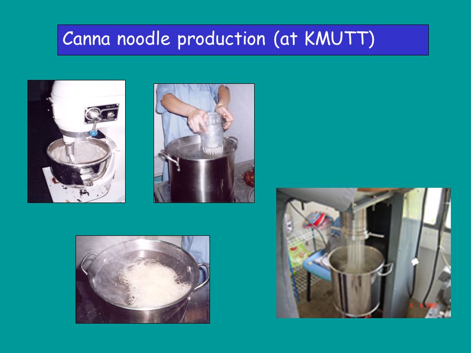 Canna noodle production (at KMUTT)