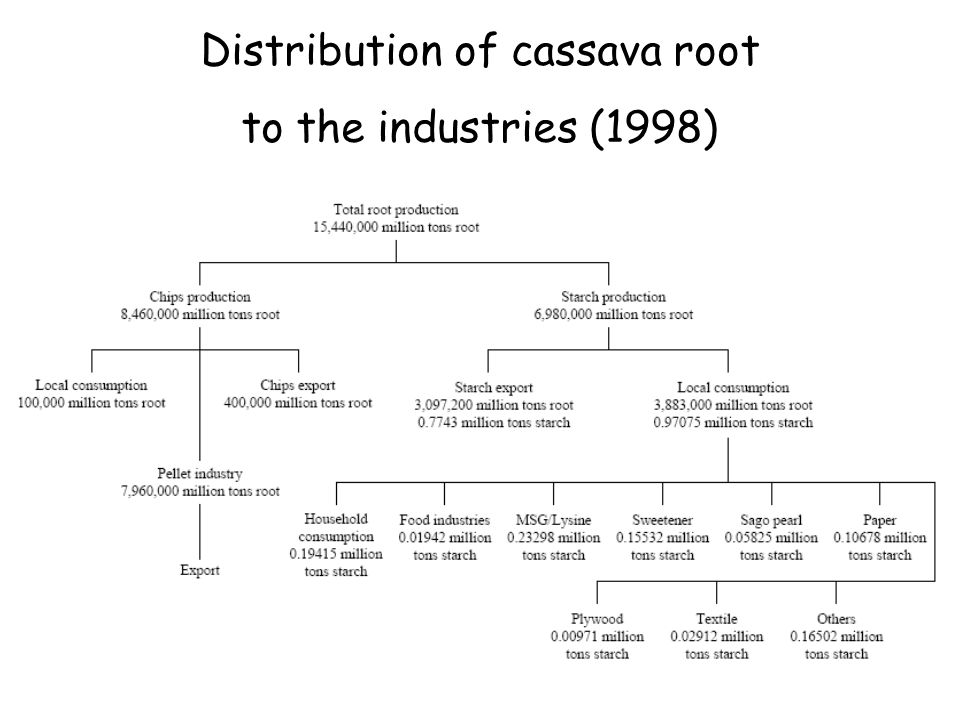 Distribution of cassava root