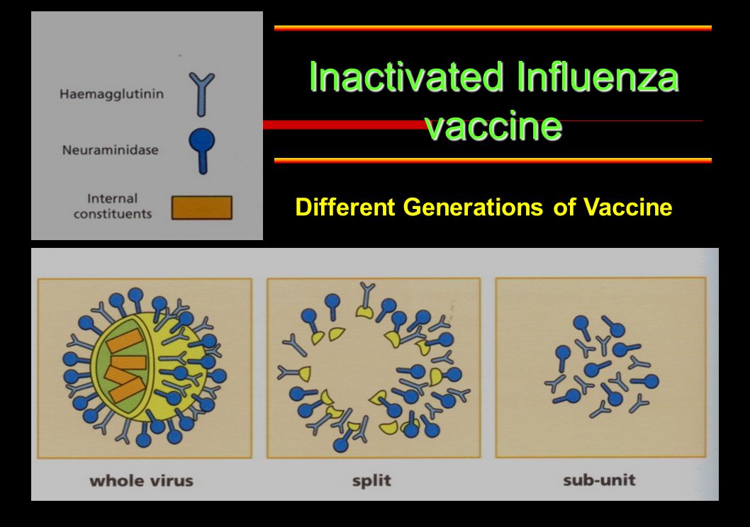 Inactivated Influenza vaccine