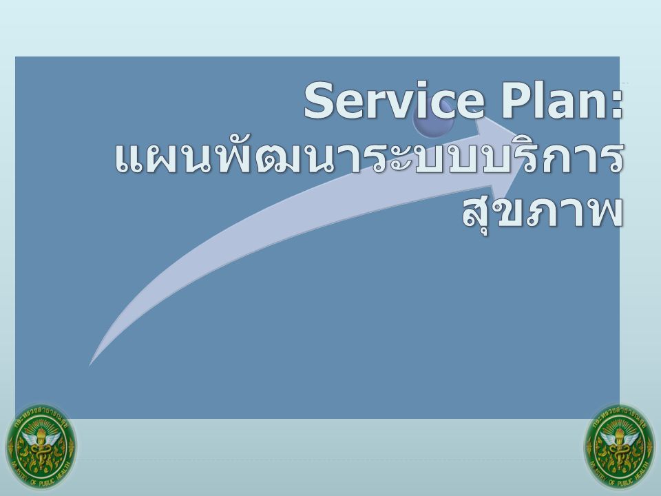 Service Plan: แผนพัฒนาระบบบริการสุขภาพ