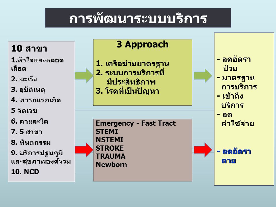 การพัฒนาระบบบริการ 3 Approach 10 สาขา - ลดอัตรา 1. เครือข่ายมาตรฐาน