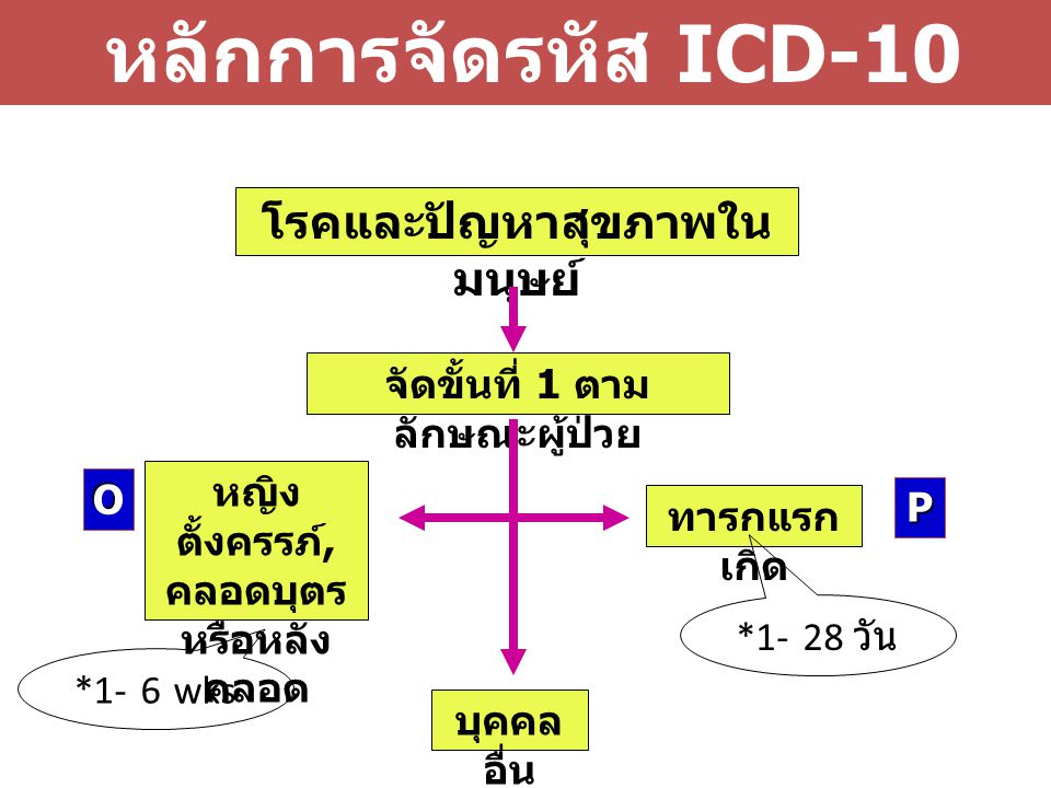 หลักการจัดรหัส ICD-10 โรคและปัญหาสุขภาพในมนุษย์
