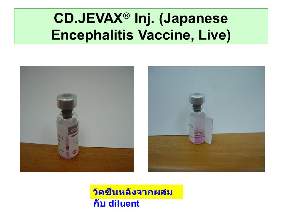 CD.JEVAX Inj. (Japanese Encephalitis Vaccine, Live)
