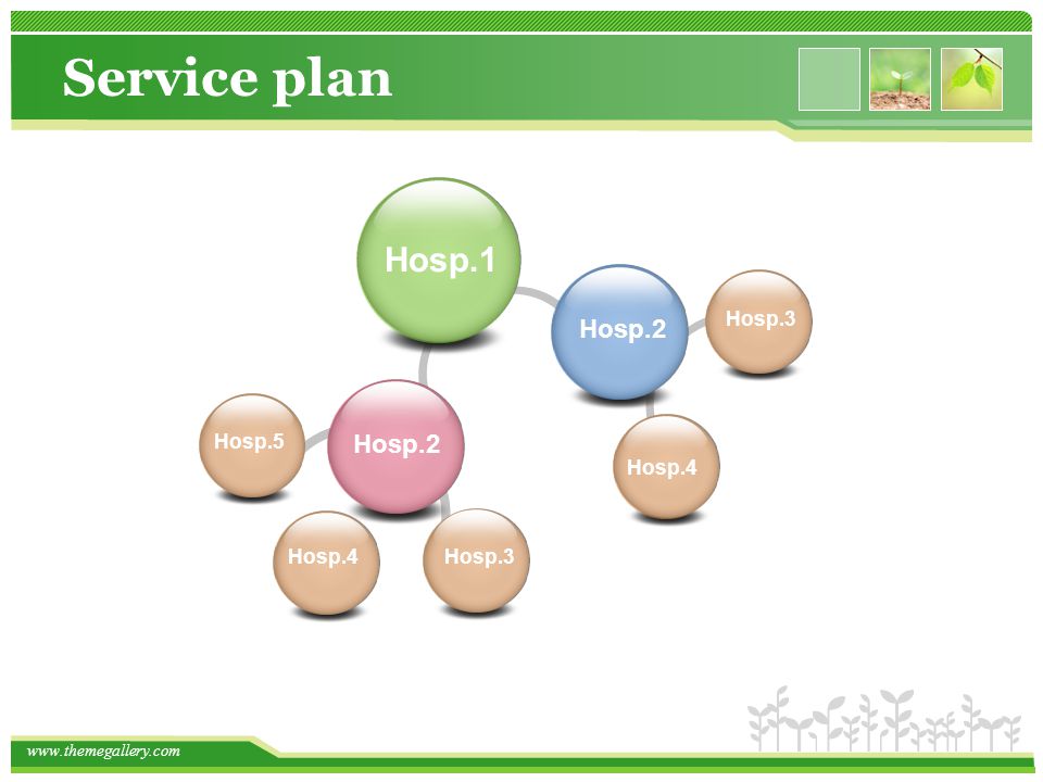 Service plan Hosp.1 Hosp.2 Hosp.3 Hosp.5 Hosp.2 Hosp.4 Hosp.4 Hosp.3