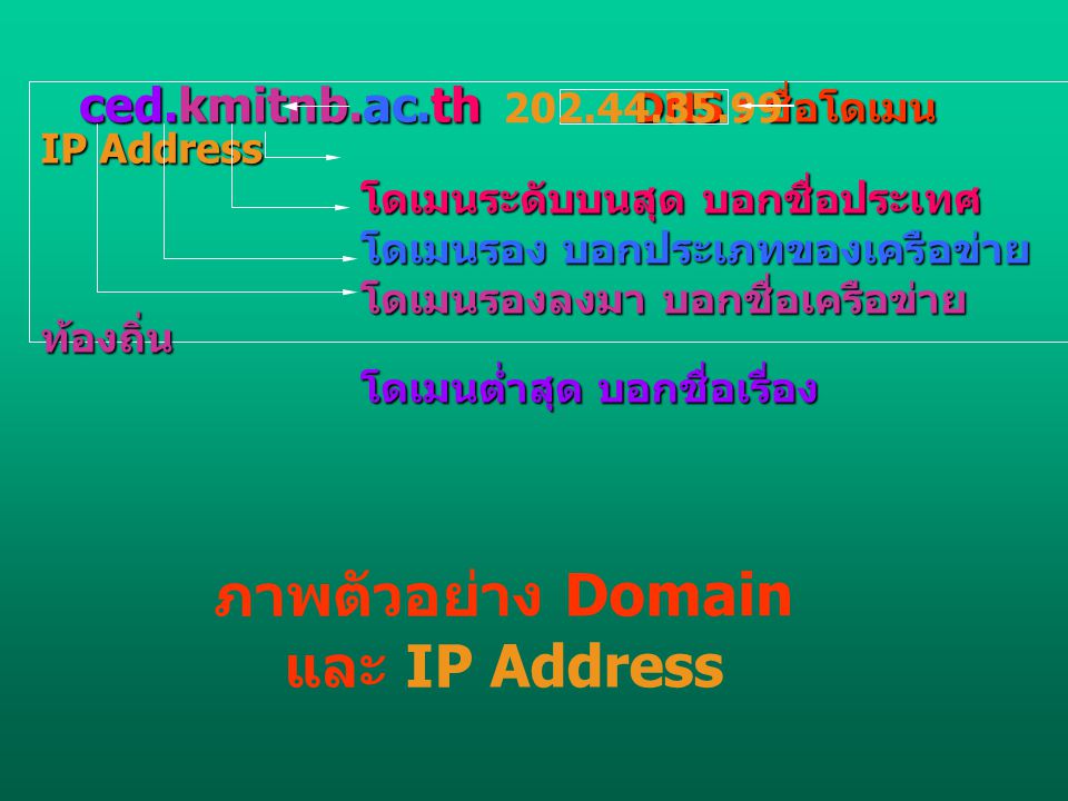ภาพตัวอย่าง Domain และ IP Address