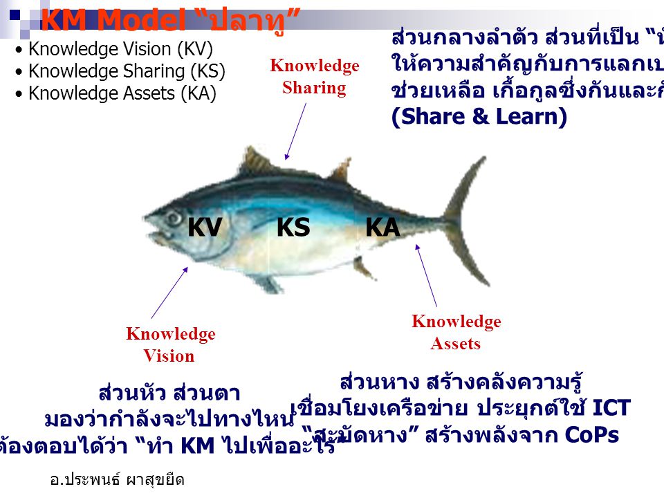 KM Model ปลาทู KV KS KA ส่วนกลางลำตัว ส่วนที่เป็น หัวใจ