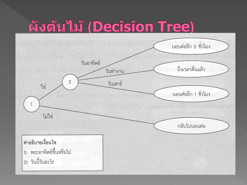 ผังต้นไม้ (Decision Tree)